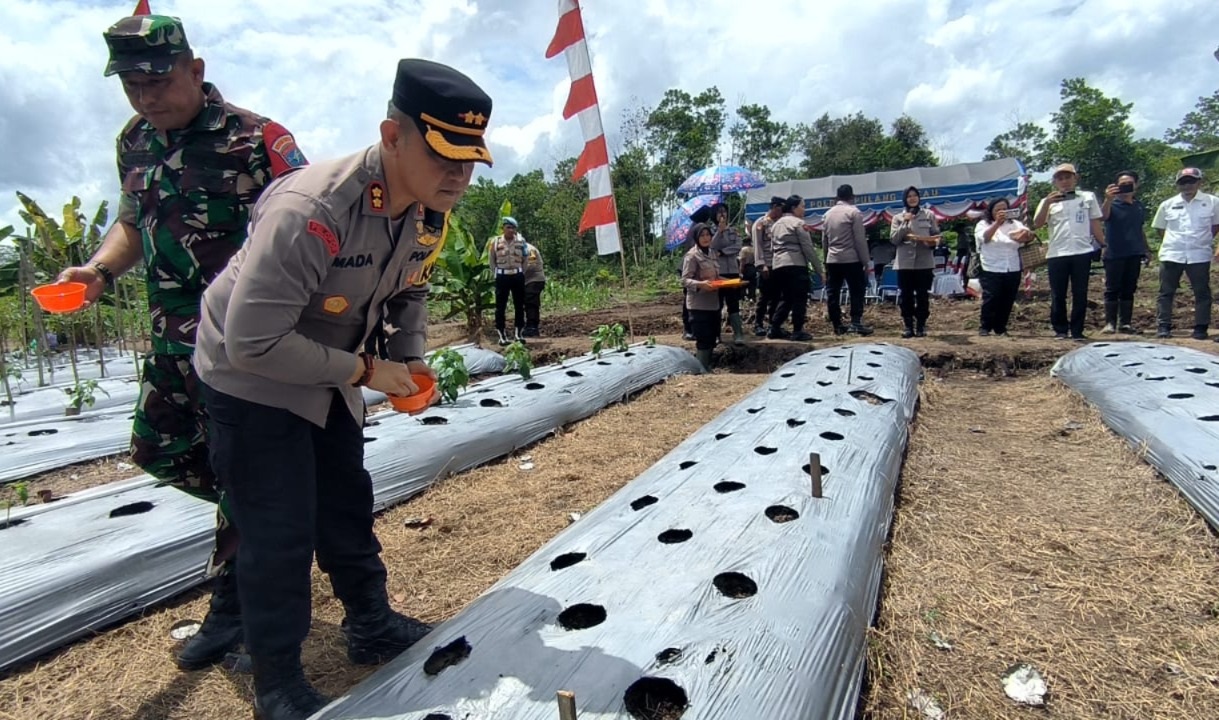 Ketahanan Pangan