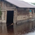Usai Pilkada, Satu Desa di Kotim Banjir