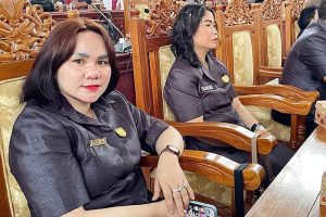 Dewan Dorong Pemda Terus Melakukan Inovasi