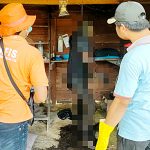 Seorang Pria Tergantung di Pondok, Badan Mulai Membusuk