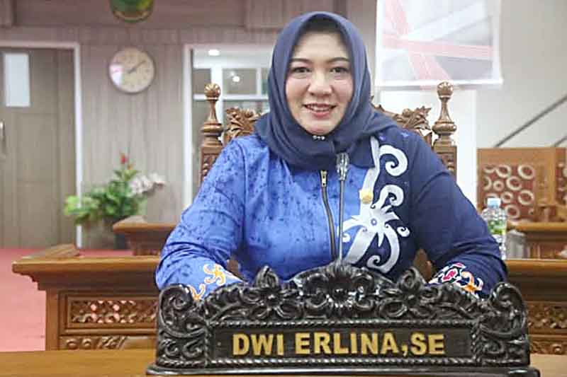 Anggota DPRD Pulpis, Dwi Erlina.