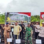 DPKP Dukung Program Penanaman Jagung Serentak 