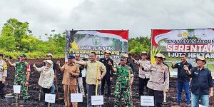 DPKP Dukung Program Penanaman Jagung Serentak