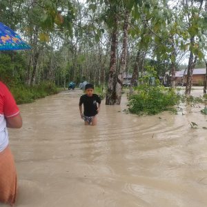 Dua Kecamatan di Gumas Dilanda Banjir