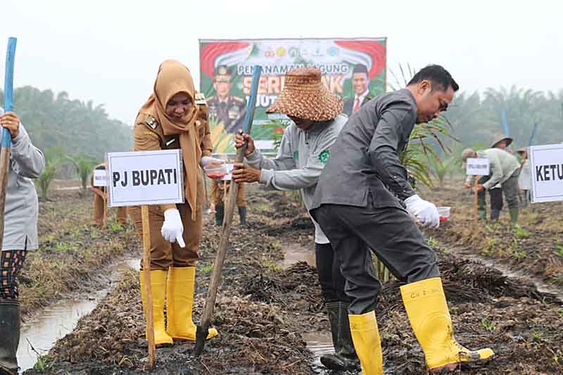 Ketua Dewan Pulpis Apresiasi Penanaman Jagung Serentak