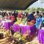 Pemkab Gelar Festival Buah Lokal