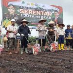 Pemkab Kotim Laksanakan Tanam Jagung Serentak