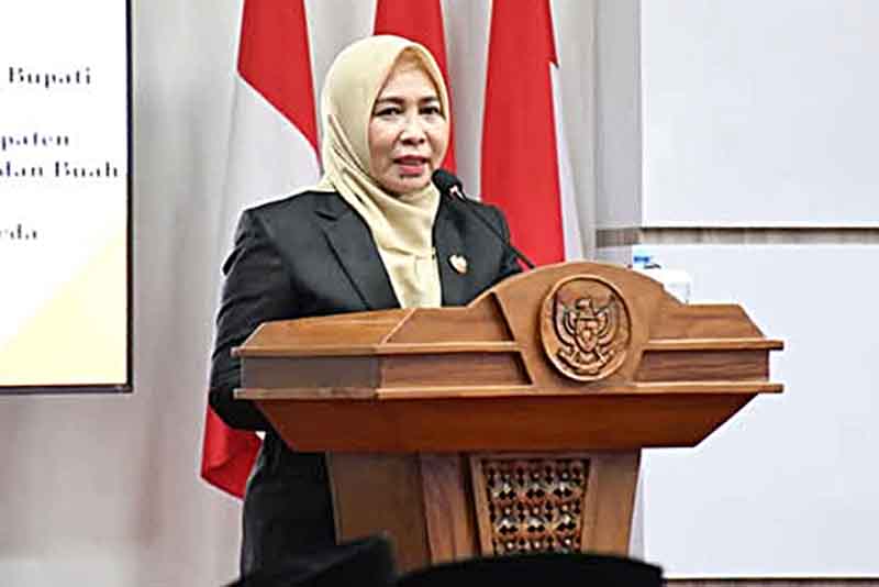 Penjabat (Pj) Bupati Pulang Pisau Hj Nunu Andriani