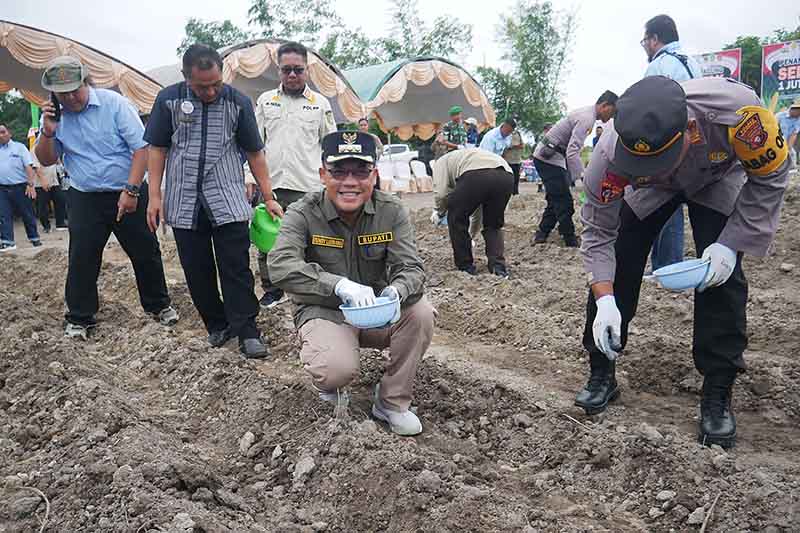 Pj Bupati Hadiri Penanaman Jagung Serentak
