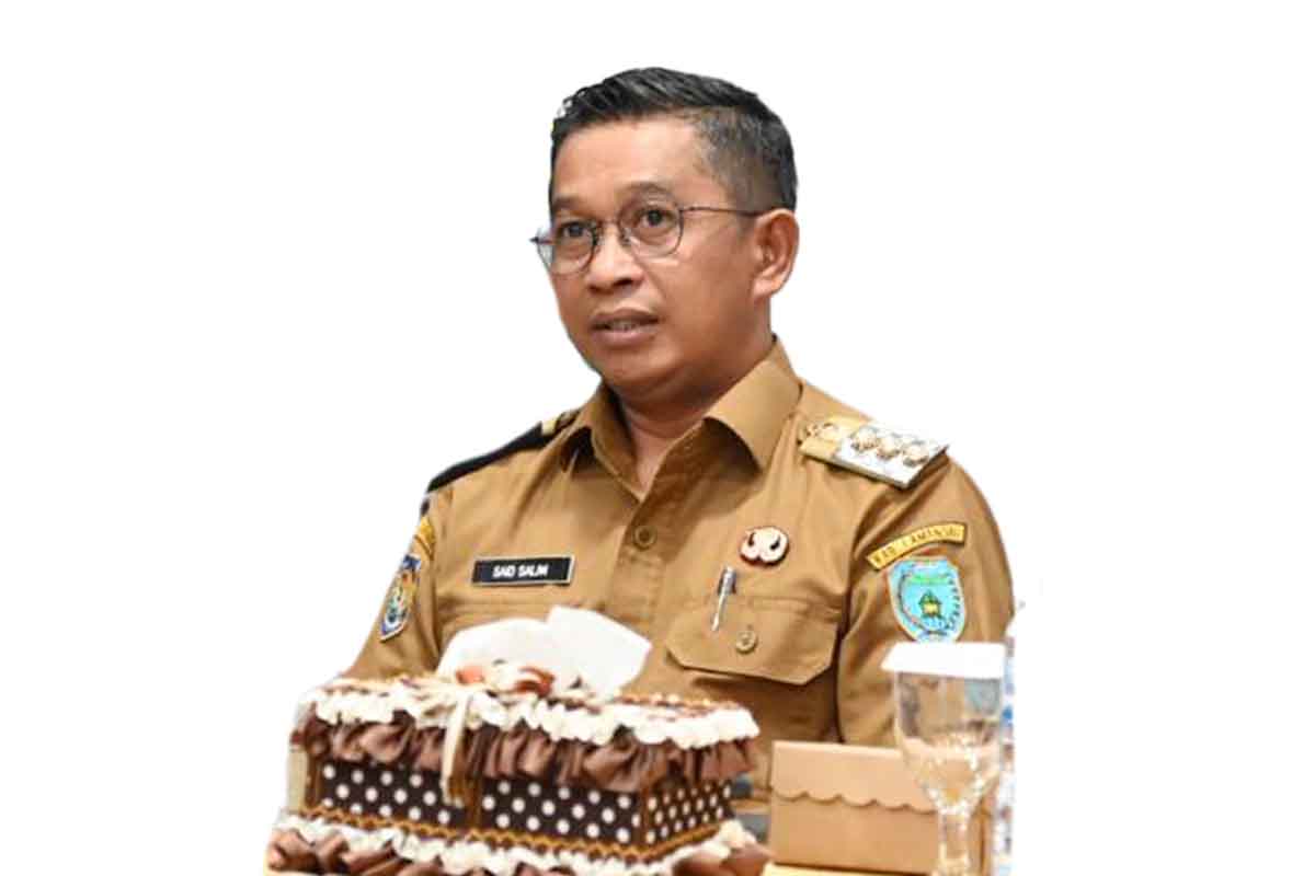 Pj Bupati Lamandau, Said Salim