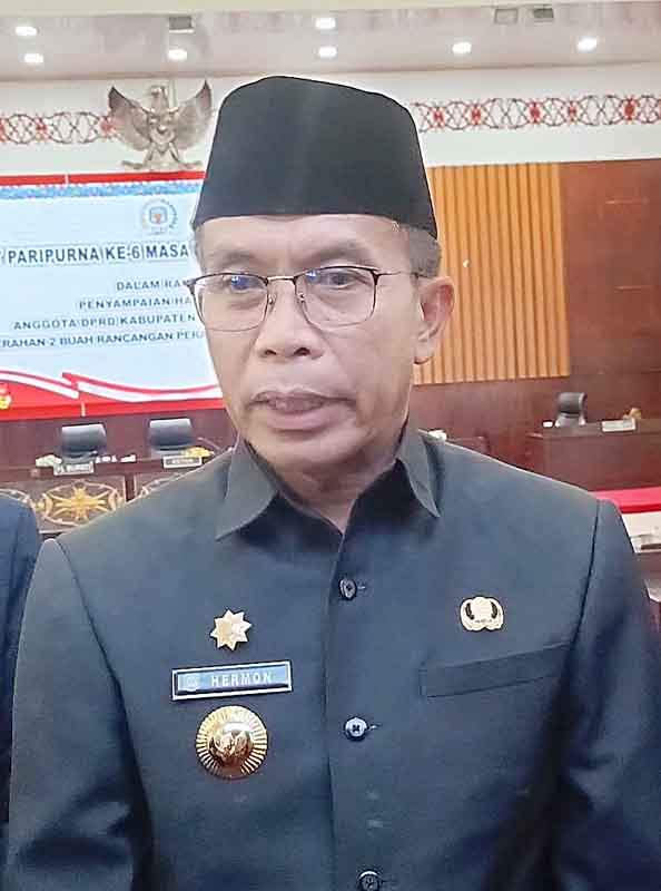 Pj Bupati Murung Raya, Hermon