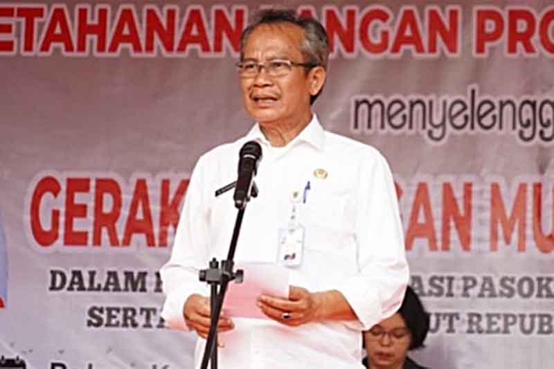 Plt Kadis Ketahanan Pangan Provinsi Kalteng, Elpiansyah