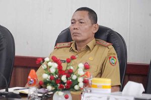 Sejumlah Langkah Strategis Berhasil Jaga Kestabilan Inflasi