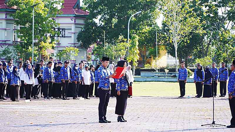 Tenaga Honorer  Berpeluang Menjadi PPPK Paruh Waktu