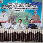 Harga TBS Kalteng Tinggi Dibanding Kalbar