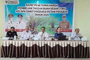 Harga TBS Kalteng Tinggi Dibanding Kalbar