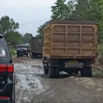 Angkutan PBS Masih Melenggang Bebas