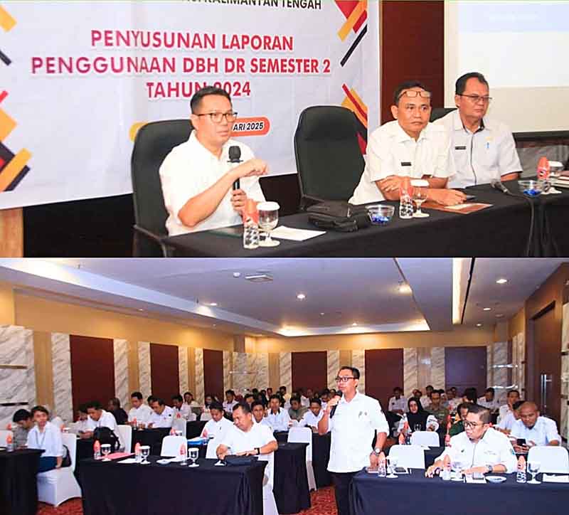 Pemda Pastikan Transparansi dan Akuntabilitas Penggunaan DBH DR