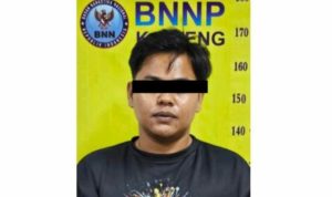 Penyelundupan Ganja 105 Gram Digagalkan