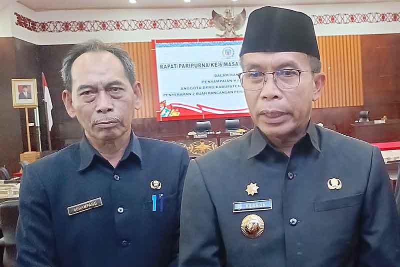 Pj Bupati Murung Raya, Hermon