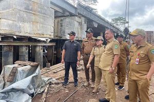 Wakil Bupati Kapuas Tindak Lokasi Jembatan Ambruk di Terusan