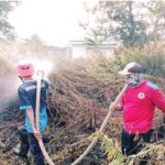 Waspada, Karhutla di Wilayah Kotim Kembali Terjadi