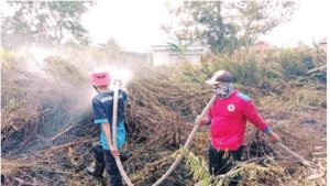 Waspada, Karhutla di Wilayah Kotim Kembali Terjadi