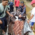 Balita Dua Tahun Mengapung Tanpa Nyawa