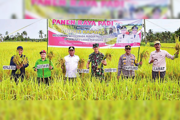 Bupati Kapuas Panen Raya di Desa Warna Sari
