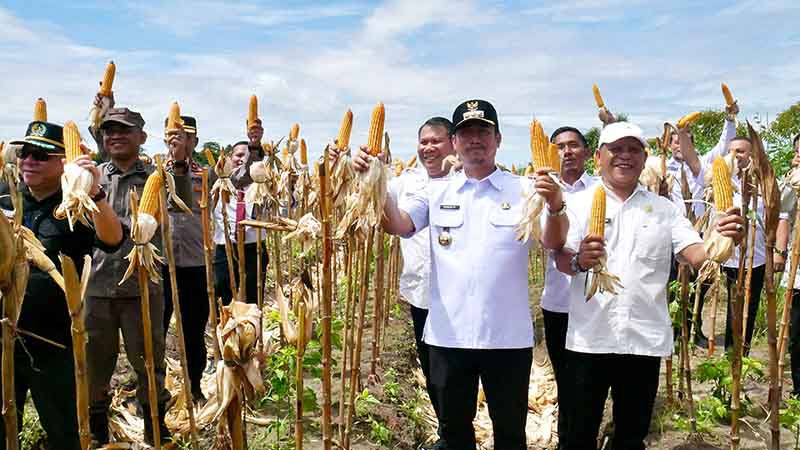 Bupati Panen Jagung dan Cabai di Lapas Sukamara