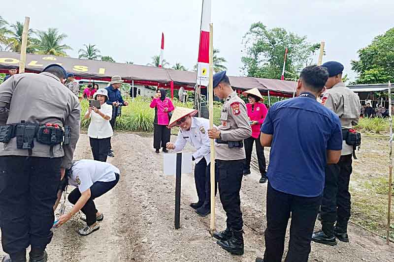 Disbun Hadiri Panen Raya dan Penanaman Jagung