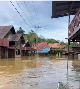 Lima Desa di Kapuas Tengah Terendam Banjir