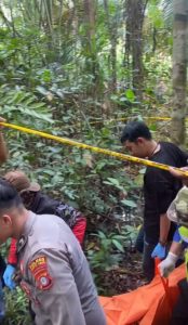 Petani Tewas Tertimpa Pohon