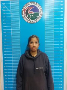 Polisi Ringkus IRT Pengedar Sabu