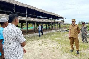 Wabah Lalat di Pantai Lunci, Bupati Tinjau Langsung Lokasi Kandang Ayam