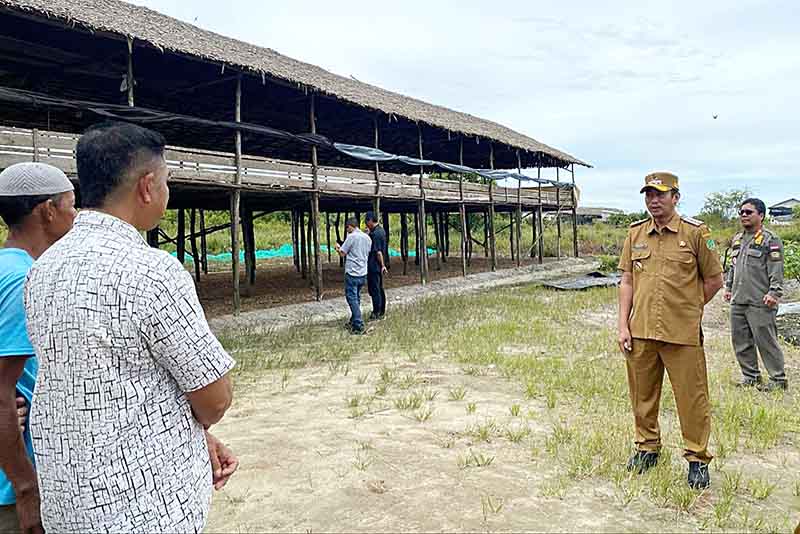 Wabah Lalat di Pantai Lunci, Bupati Tinjau Langsung Lokasi Kandang Ayam