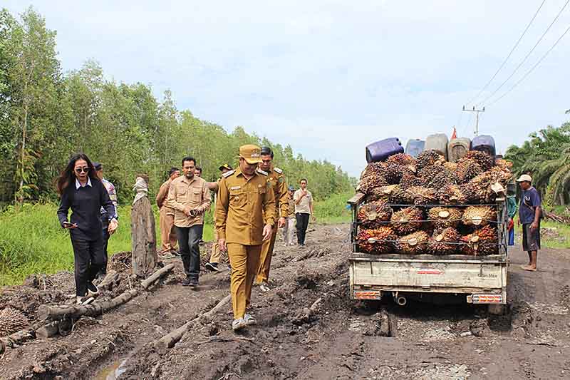 Bupati dan Wabup Tinjau Jalan Rusak Sebangau Kuala 