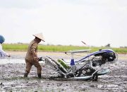 Dorong Kedaulatan Pangan dan Kebanggaan Jadi Petani