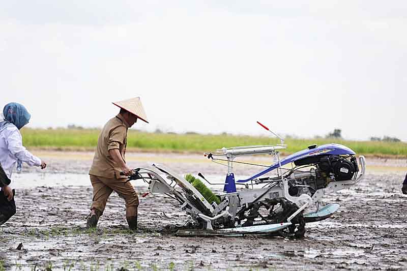 Dorong Kedaulatan Pangan dan Kebanggaan Jadi Petani