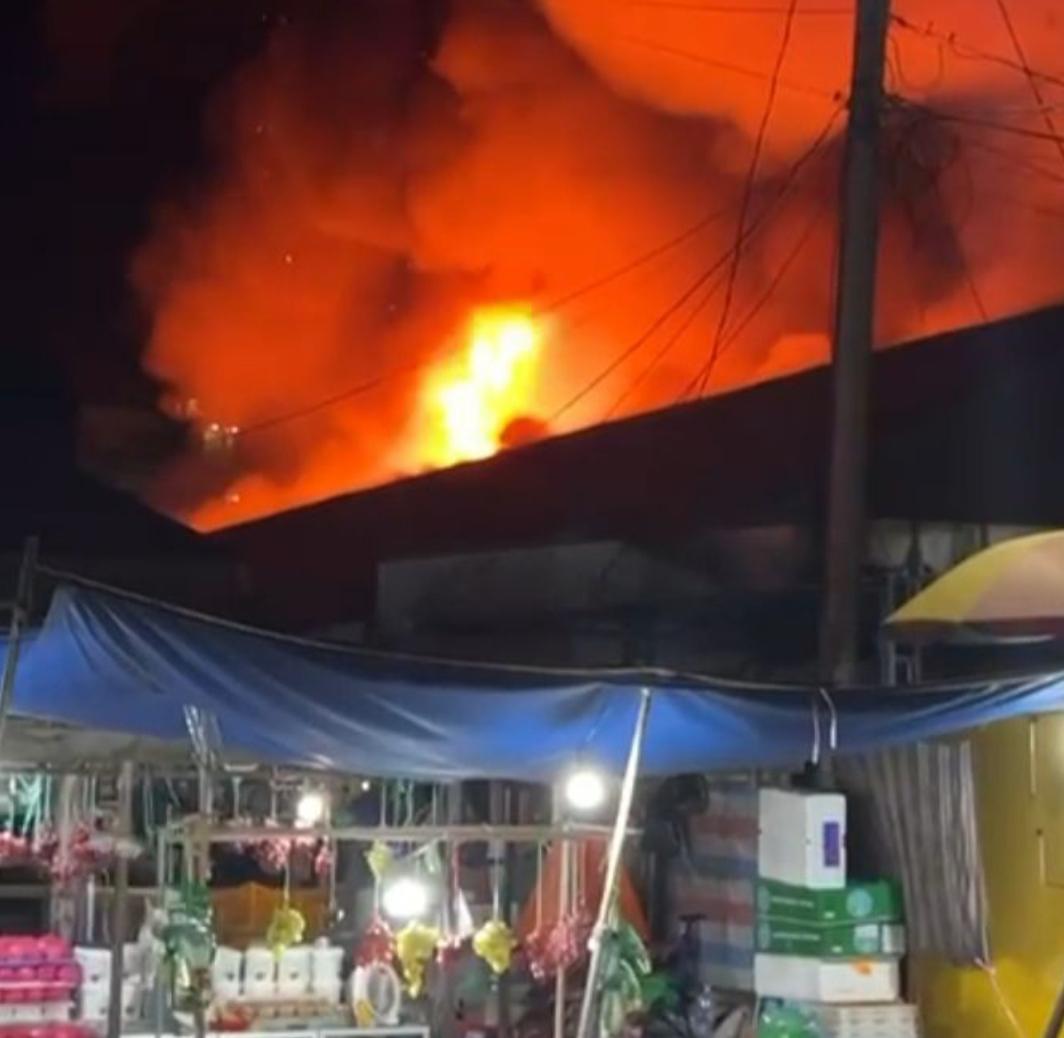 Si Jago Merah Mengamuk di Pasar Kapuas