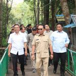 Gubernur Kunjungi Hutan Nyaru Menteng Berkah