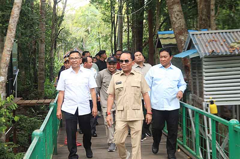 Gubernur Kunjungi Hutan Nyaru Menteng Berkah