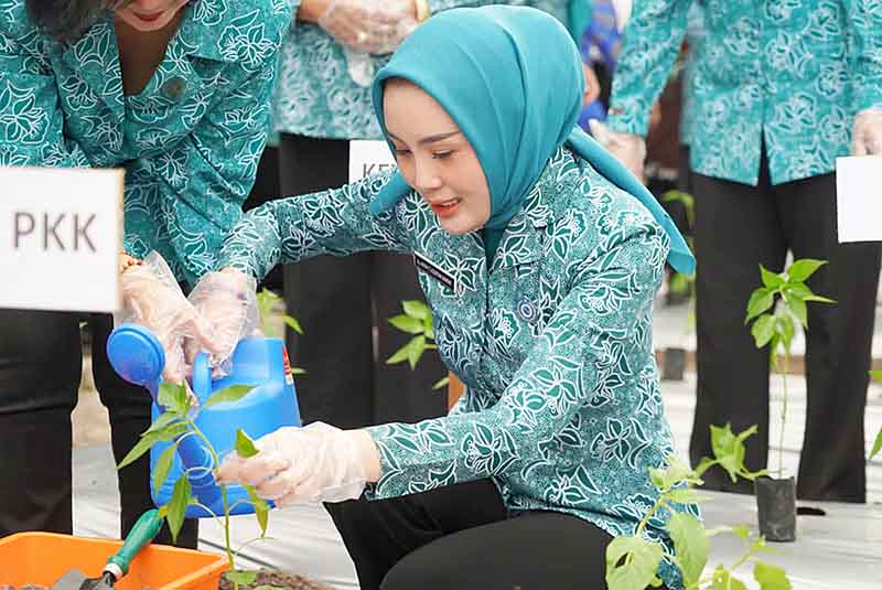 Manfaatkan Pekarangan Lewat Program Aku Hatinya PKK 