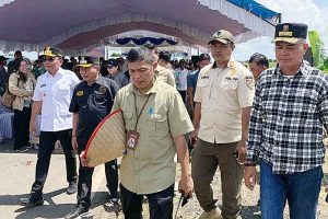 Panen Raya Padi di Desa Pantik