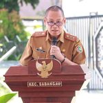 Pemprov Galakkan Gerakan Tanam Cabai 