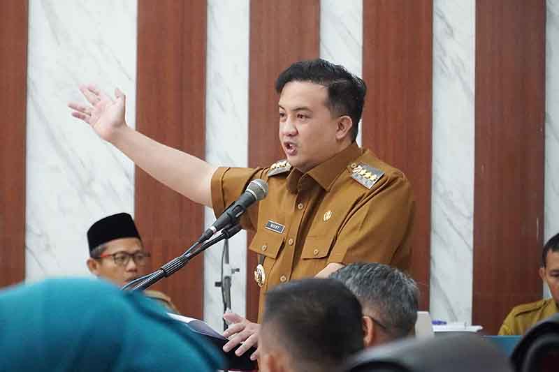Rizky Aktifkan Ambulans Desa dan Budidaya Tanaman 