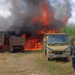 Jerigen Pertamax Pecah, Rumah dan Kandang Sapi Ludes