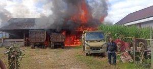 Jerigen Pertamax Pecah, Rumah dan Kandang Sapi Ludes