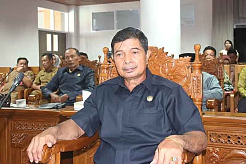 Anggota DPRD Kabupaten Pulang Pisau, Damek.