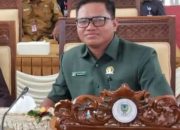 Anggota DPRD Seruyan Aliansyah